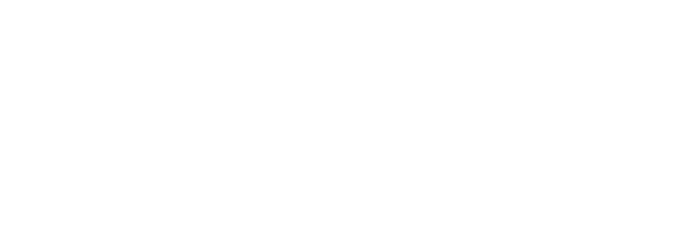 Xylok